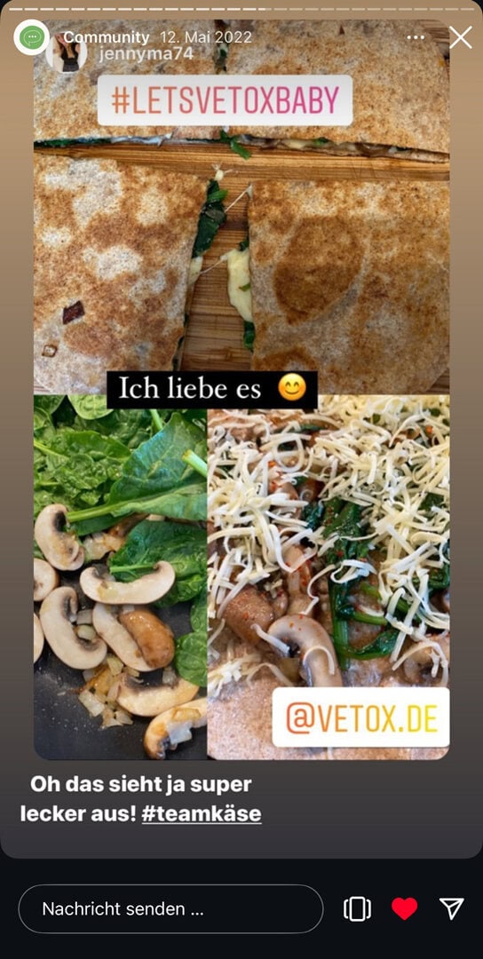 Instagram Story Screenshot aus der Vetox Community