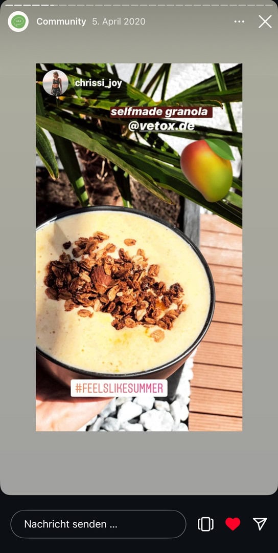 Instagram Story Screenshot aus der Vetox Community