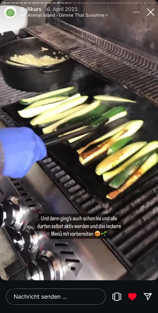 Instagram Story zu Vetox x Santos Grill Workshop